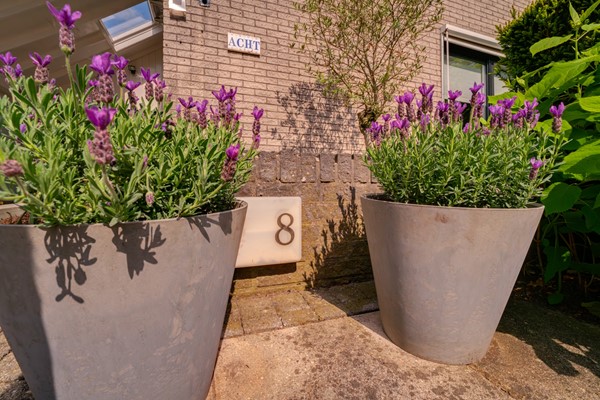 Foto - Te koop: Hagedoorn 8, 7041 JT 's-Heerenberg